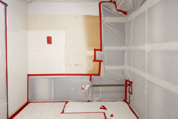 Best Forensic Mold Investigation  in Ogdensburg, NY