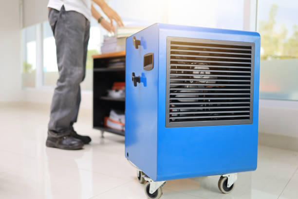 Best Emergency Mold Remediation  in Ogdensburg, NY