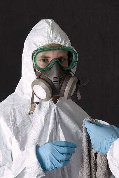 Reliable Ogdensburg, NY Mold Removal Solutions